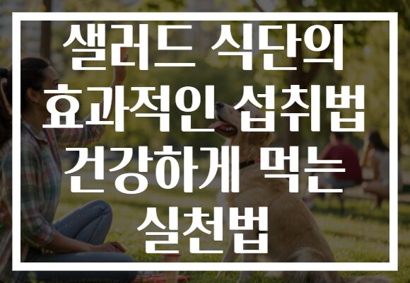 샐러드 식단의 효과적인 섭취법 건강하게 먹는 실천법