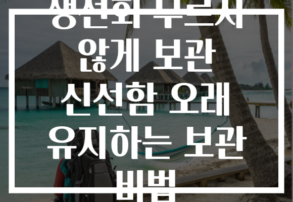생선회 무르지 않게 보관 신선함 오래 유지하는 보관 비법