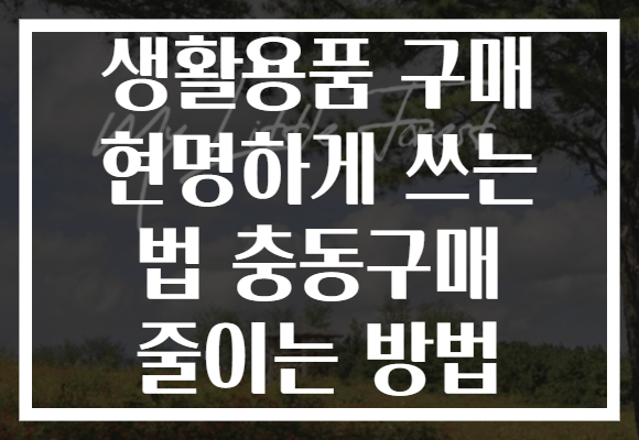 생활용품 구매 현명하게 쓰는 법 충동구매 줄이는 방법