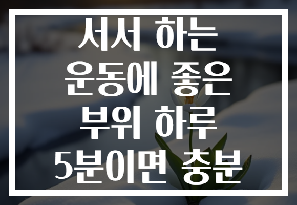 서서 하는 운동에 좋은 부위 하루 5분이면 충분