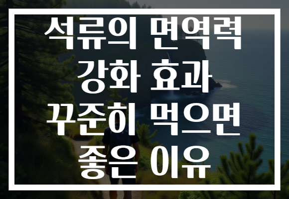 석류의 면역력 강화 효과 꾸준히 먹으면 좋은 이유