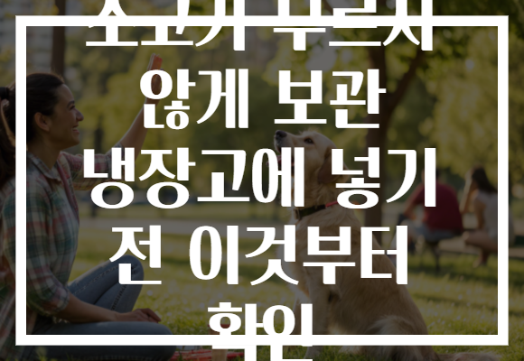 소고기 무르지 않게 보관 냉장고에 넣기 전 이것부터 확인