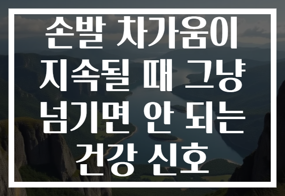 손발 차가움이 지속될 때 그냥 넘기면 안 되는 건강 신호