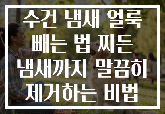 수건 냄새 얼룩 빼는 법 찌든 냄새까지 말끔히 제거하는 비법
