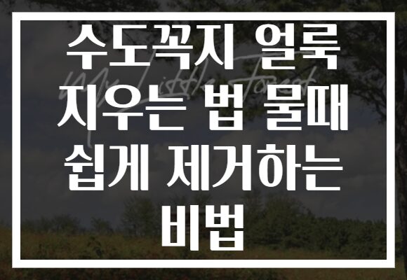 수도꼭지 얼룩 지우는 법 물때 쉽게 제거하는 비법