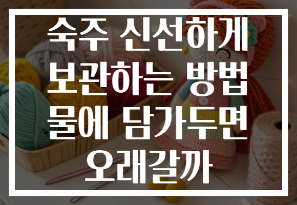 숙주 신선하게 보관하는 방법 물에 담가두면 오래갈까