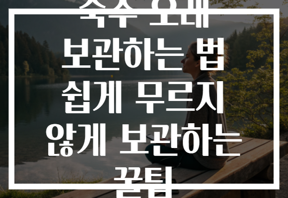 숙주 오래 보관하는 법 쉽게 무르지 않게 보관하는 꿀팁