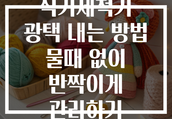 식기세척기 광택 내는 방법 물때 없이 반짝이게 관리하기