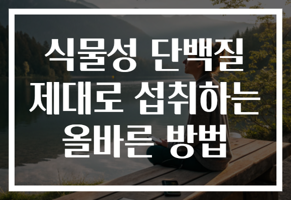 식물성 단백질 제대로 섭취하는 올바른 방법