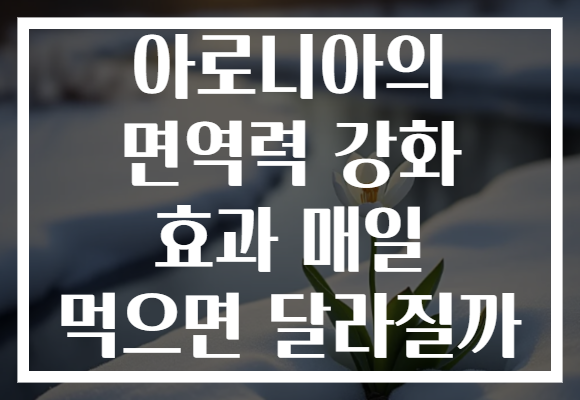 아로니아의 면역력 강화 효과 매일 먹으면 달라질까