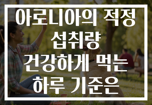 아로니아의 적정 섭취량 건강하게 먹는 하루 기준은