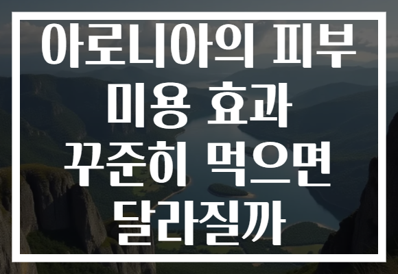아로니아의 피부 미용 효과 꾸준히 먹으면 달라질까