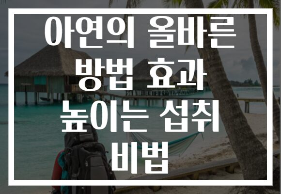 아연의 올바른 방법 효과 높이는 섭취 비법