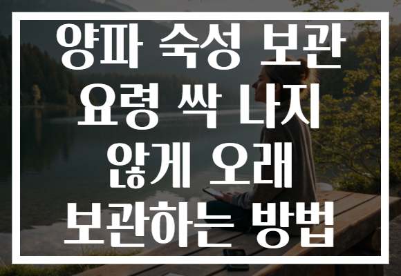 양파 숙성 보관 요령 싹 나지 않게 오래 보관하는 방법