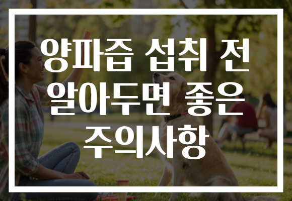 양파즙 섭취 전 알아두면 좋은 주의사항