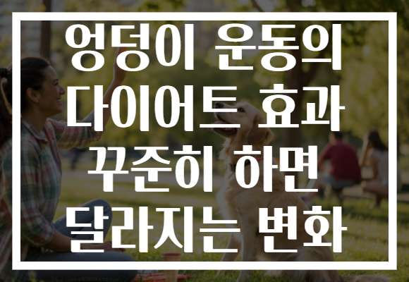 엉덩이 운동의 다이어트 효과 꾸준히 하면 달라지는 변화
