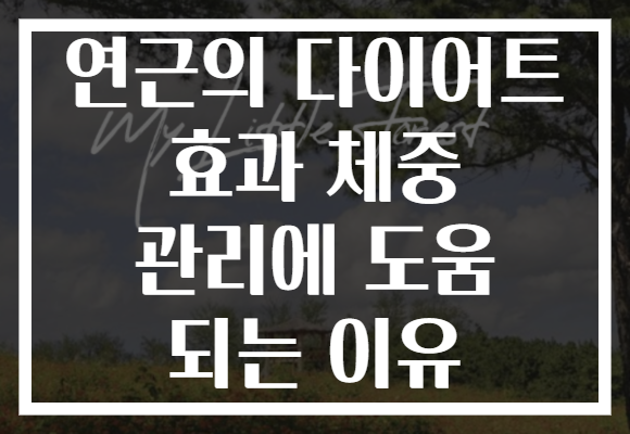 연근의 다이어트 효과 체중 관리에 도움 되는 이유