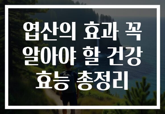 엽산의 효과 꼭 알아야 할 건강 효능 총정리