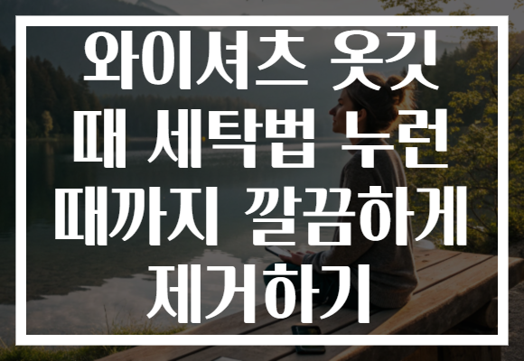 와이셔츠 옷깃 때 세탁법 누런 때까지 깔끔하게 제거하기