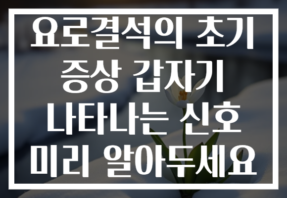 요로결석의 초기 증상 갑자기 나타나는 신호 미리 알아두세요