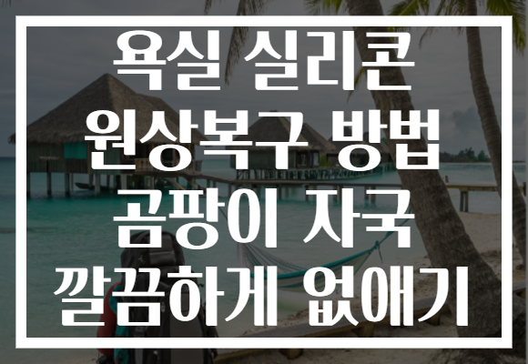 욕실 실리콘 원상복구 방법 곰팡이 자국 깔끔하게 없애기