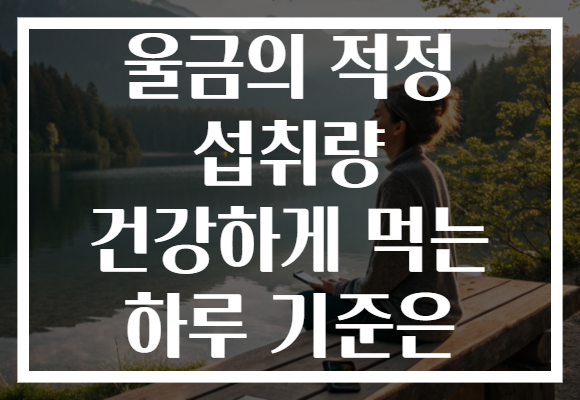 울금의 적정 섭취량 건강하게 먹는 하루 기준은
