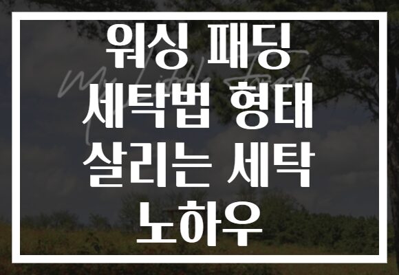 워싱 패딩 세탁법 형태 살리는 세탁 노하우