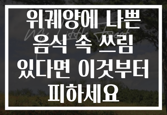 위궤양에 나쁜 음식 속 쓰림 있다면 이것부터 피하세요
