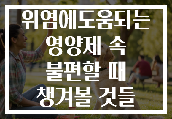 위염에도움되는 영양제 속 불편할 때 챙겨볼 것들