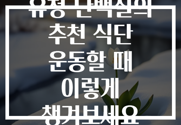 유청 단백질의 추천 식단 운동할 때 이렇게 챙겨보세요