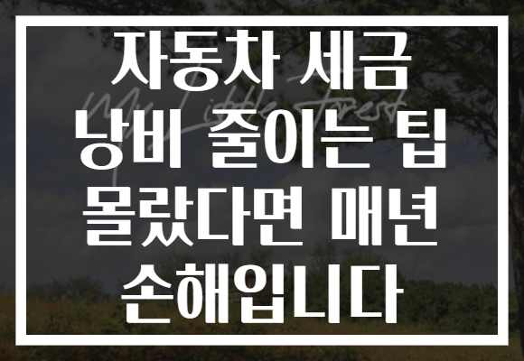 자동차 세금 낭비 줄이는 팁 몰랐다면 매년 손해입니다
