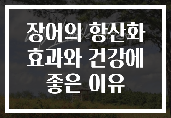 장어의 항산화 효과와 건강에 좋은 이유