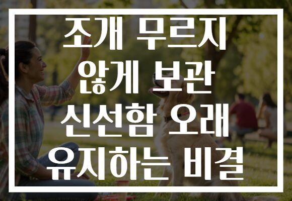 조개 무르지 않게 보관 신선함 오래 유지하는 비결