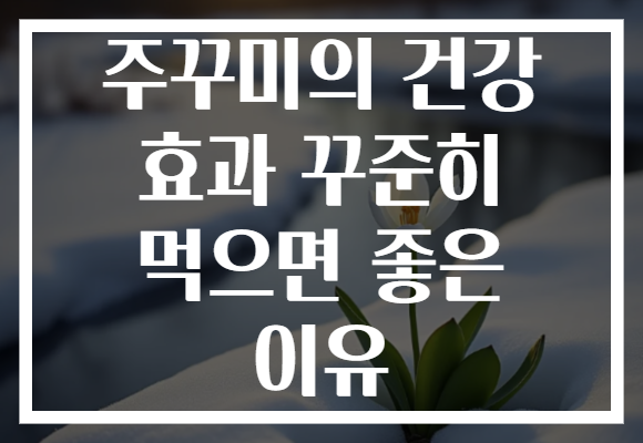주꾸미의 건강 효과 꾸준히 먹으면 좋은 이유