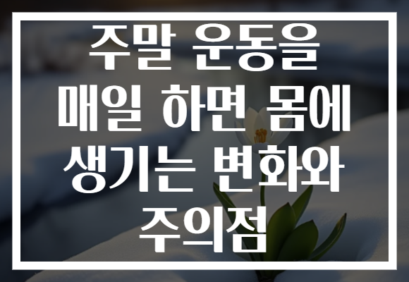 주말 운동을 매일 하면 몸에 생기는 변화와 주의점