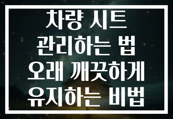 차량 시트 관리하는 법 오래 깨끗하게 유지하는 비법