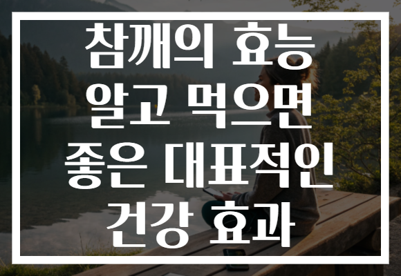 참깨의 효능 알고 먹으면 좋은 대표적인 건강 효과