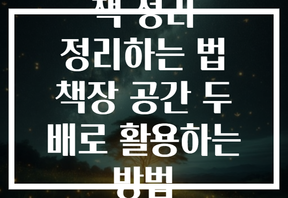 책 정리 정리하는 법 책장 공간 두 배로 활용하는 방법