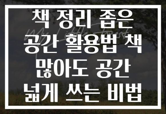 책 정리 좁은 공간 활용법 책 많아도 공간 넓게 쓰는 비법