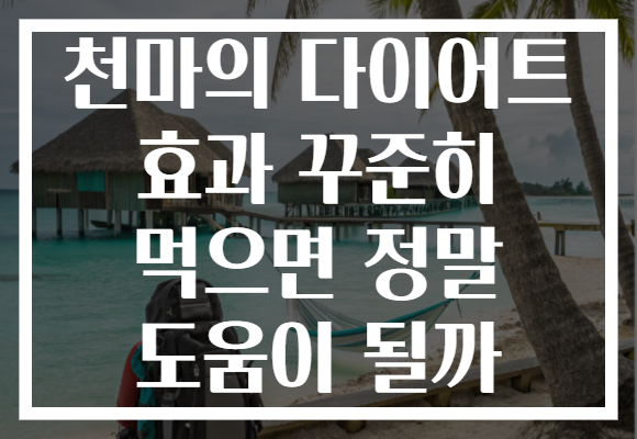 천마의 다이어트 효과 꾸준히 먹으면 정말 도움이 될까