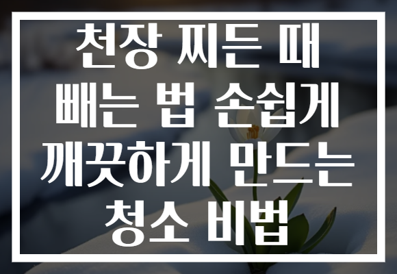 천장 찌든 때 빼는 법 손쉽게 깨끗하게 만드는 청소 비법