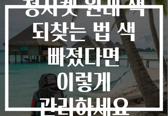 청자켓 원래 색 되찾는 법 색 빠졌다면 이렇게 관리하세요