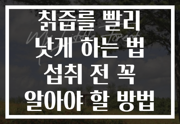 칡즙를 빨리 낫게 하는 법 섭취 전 꼭 알아야 할 방법