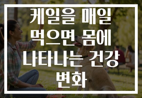 케일을 매일 먹으면 몸에 나타나는 건강 변화