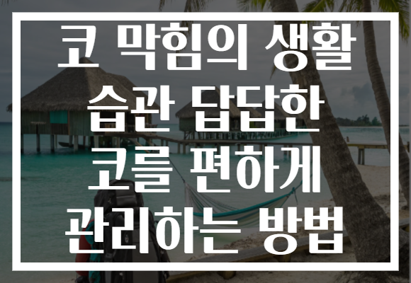 코 막힘의 생활 습관 답답한 코를 편하게 관리하는 방법