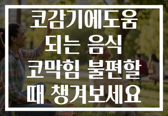 코감기에도움 되는 음식 코막힘 불편할 때 챙겨보세요