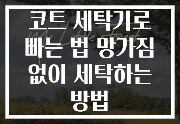 코트 세탁기로 빠는 법 망가짐 없이 세탁하는 방법