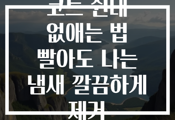 코트 쉰내 없애는 법 빨아도 나는 냄새 깔끔하게 제거