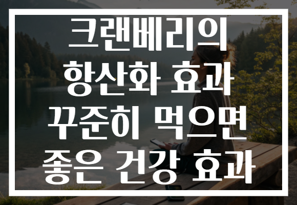 크랜베리의 항산화 효과 꾸준히 먹으면 좋은 건강 효과