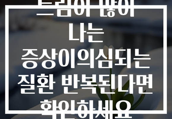 트림이 많이 나는 증상이의심되는 질환 반복된다면 확인하세요